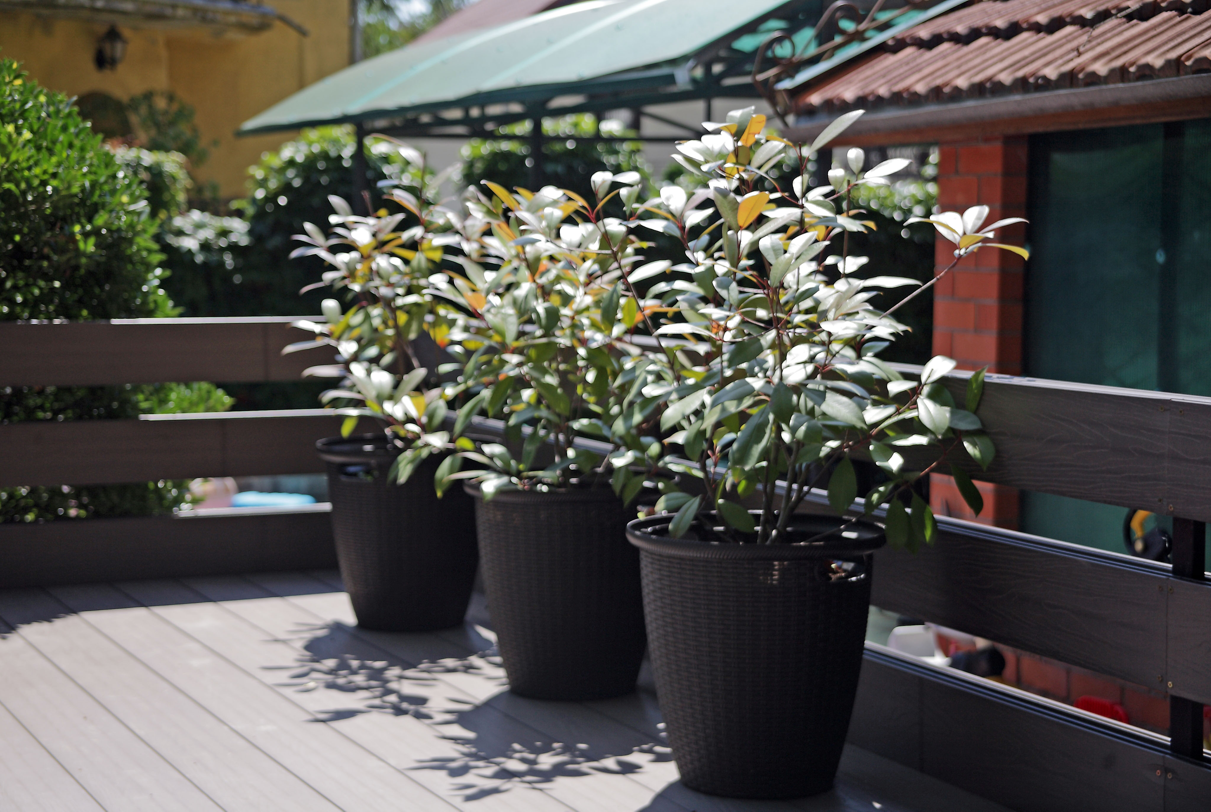 Фото Лоо Парк