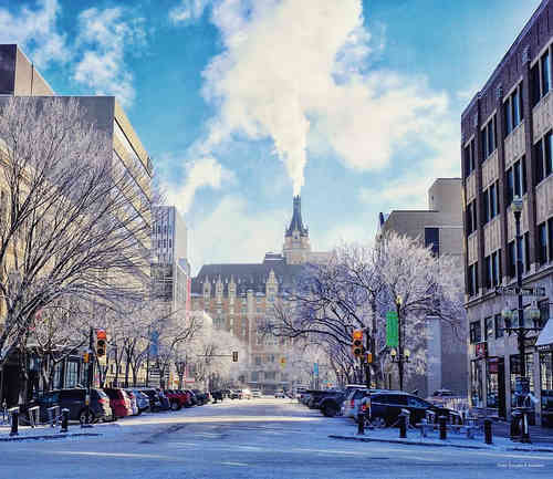 Фото Hotel Senator