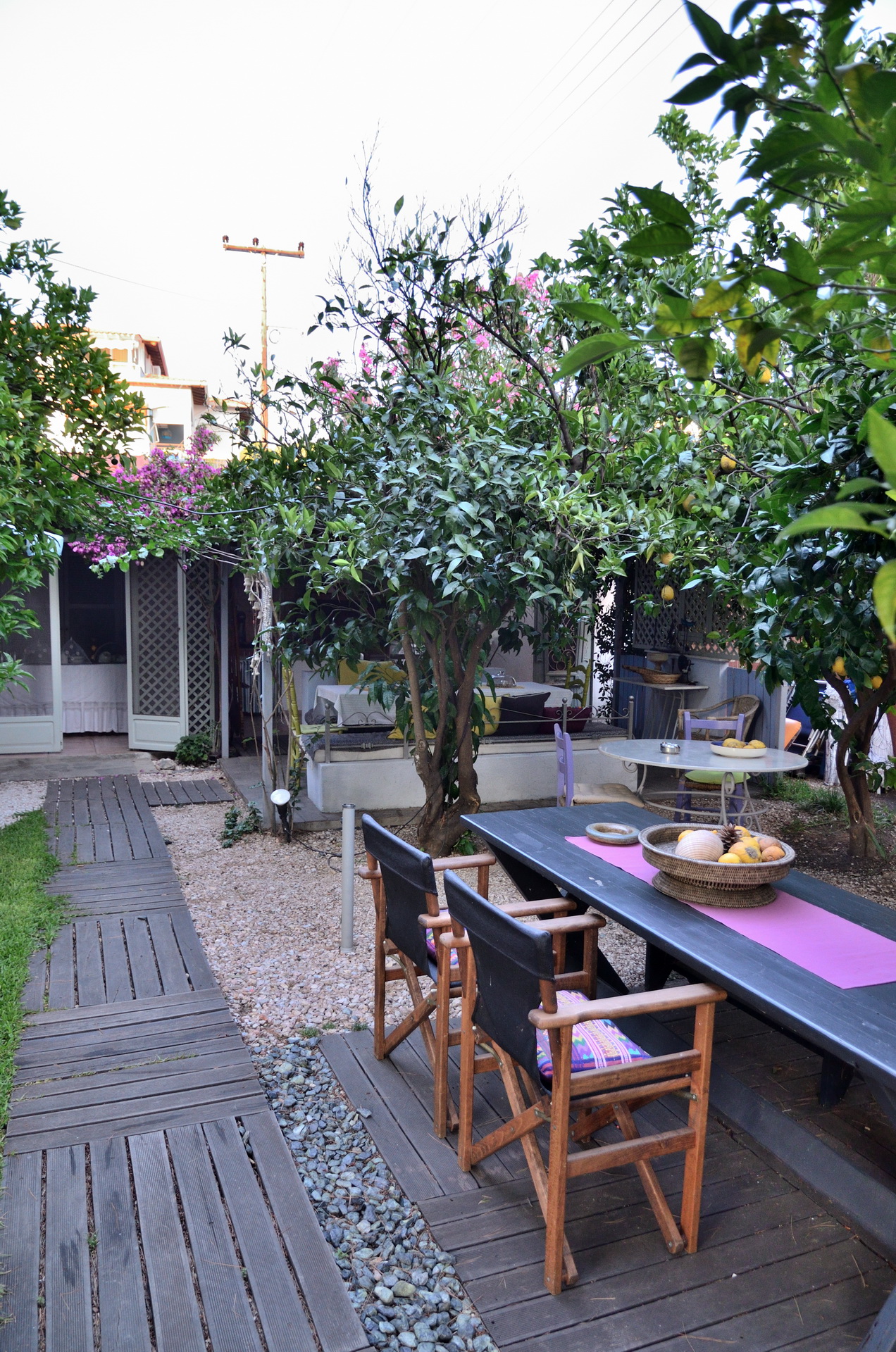 Фото Alterra Vita