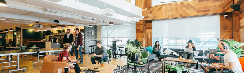 Фото Marin Suites Hotel