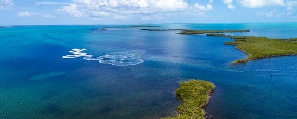 Фото San Francisco Marriott Marquis