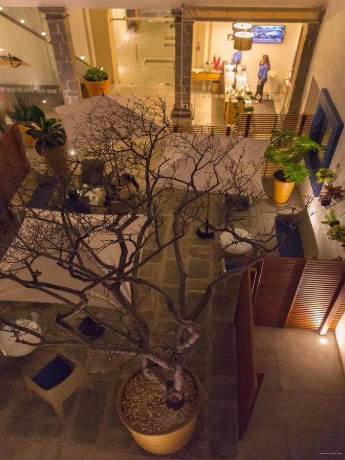 Фото Casa Pepe Hostel Boutique - Puebla