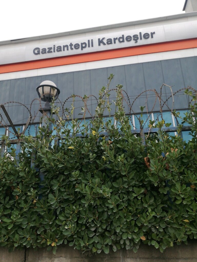 Otomobil satış galerileri Ford - Gaziantepli Kardeşler, Bahçelievler, foto