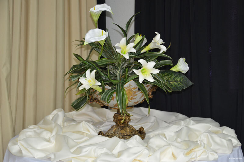 Фото Arituba Park Hotel