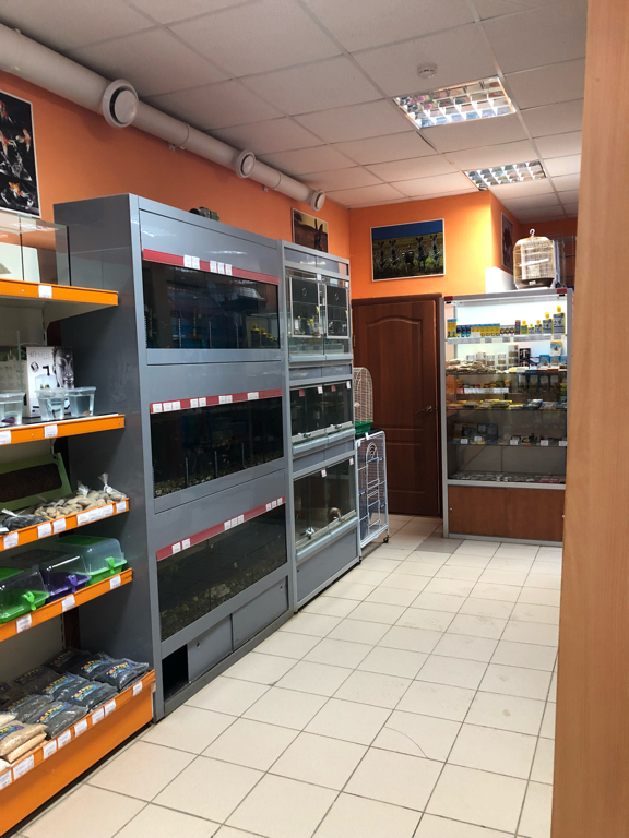 Рогатый заяц - фото 3