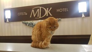 МДК