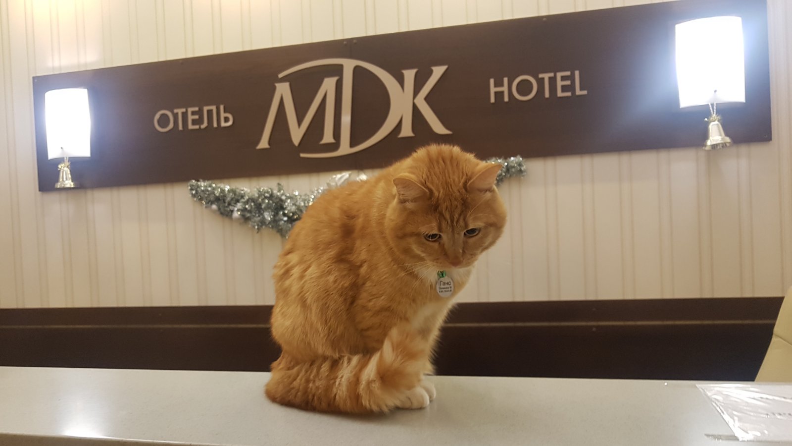 Фото отеля 3