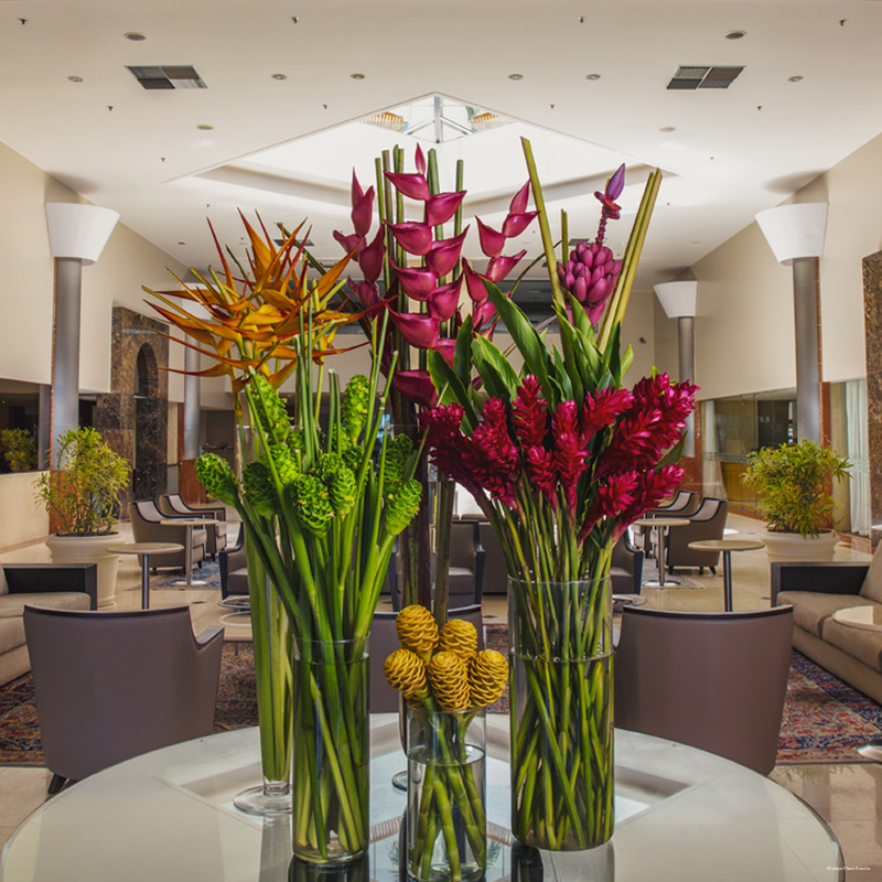 Фото Windsor Plaza Brasilia