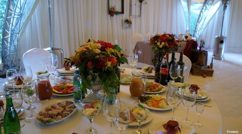 Фото Клевер