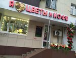 Магазин Цветов Сокол