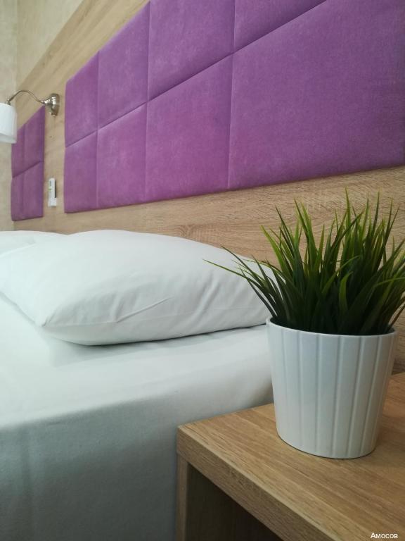 Фото Амосов