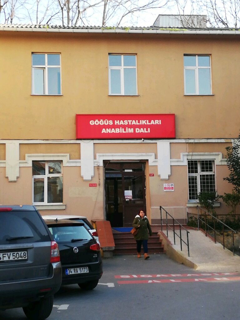 Hastaneler Ì. Ü. İstanbul Tıp Fakültesi Göğüs Hastalıkları Abd, Fatih, foto