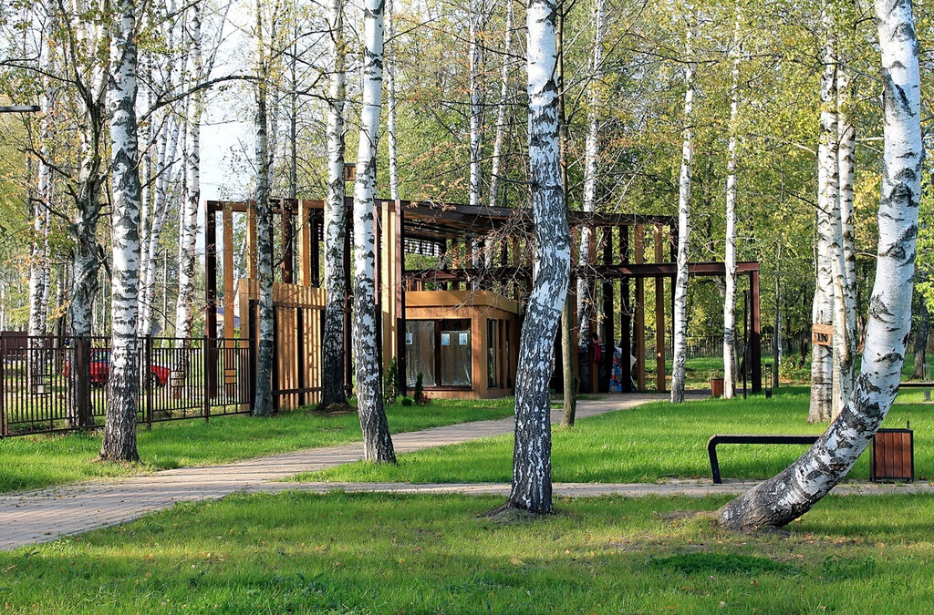 Запрудня парк солнечный берег фото Парк культуры и отдыха Солнечный Берег, park, Россия, рабочий посёлок Запрудня, 