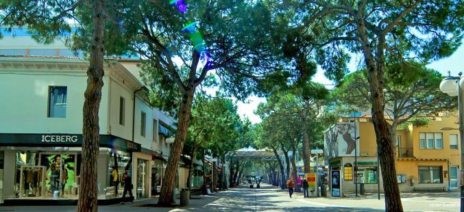 Фото Отель Darsena