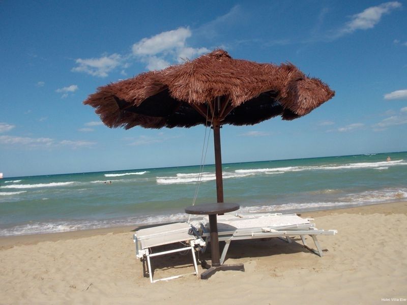 Фото Hotel Villa Elena