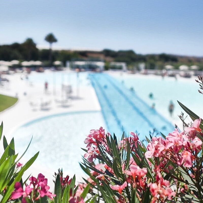 Фото Voi Daniela Essentia