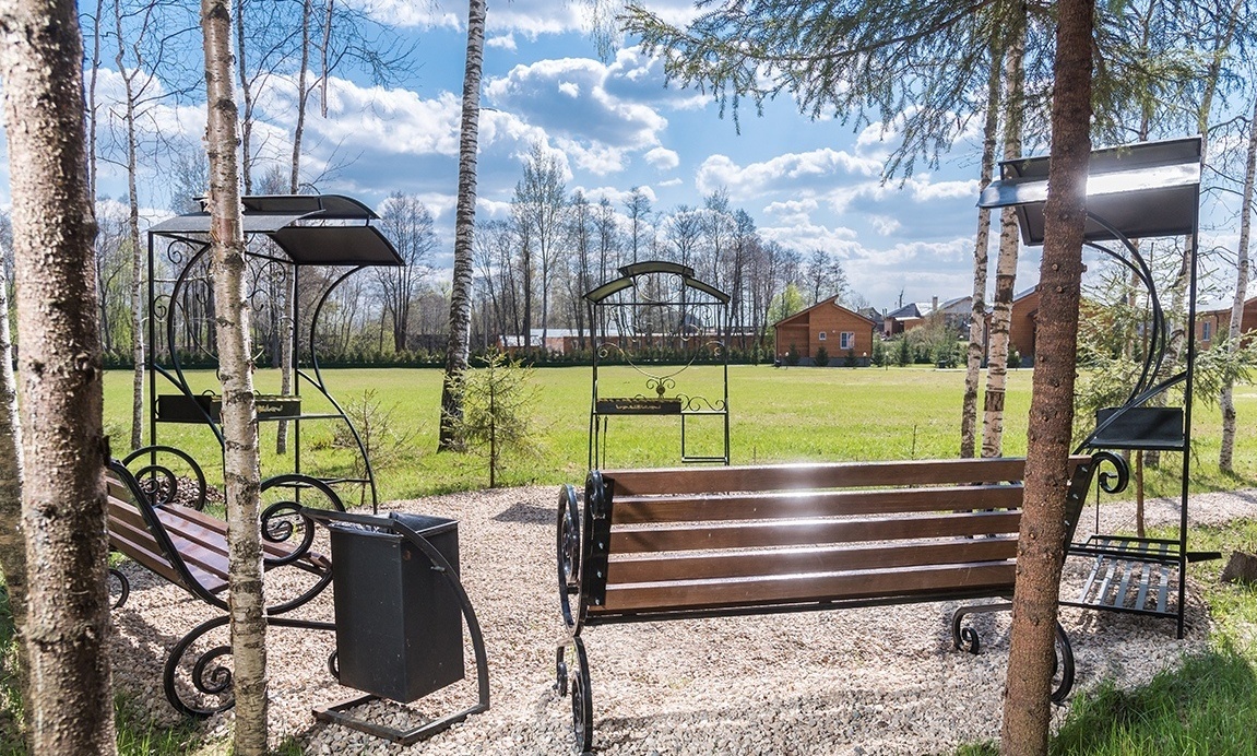 Фото Золотые Караси