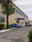 Palp-Nord (Zavodskoy pereulok, 13Г), plywood