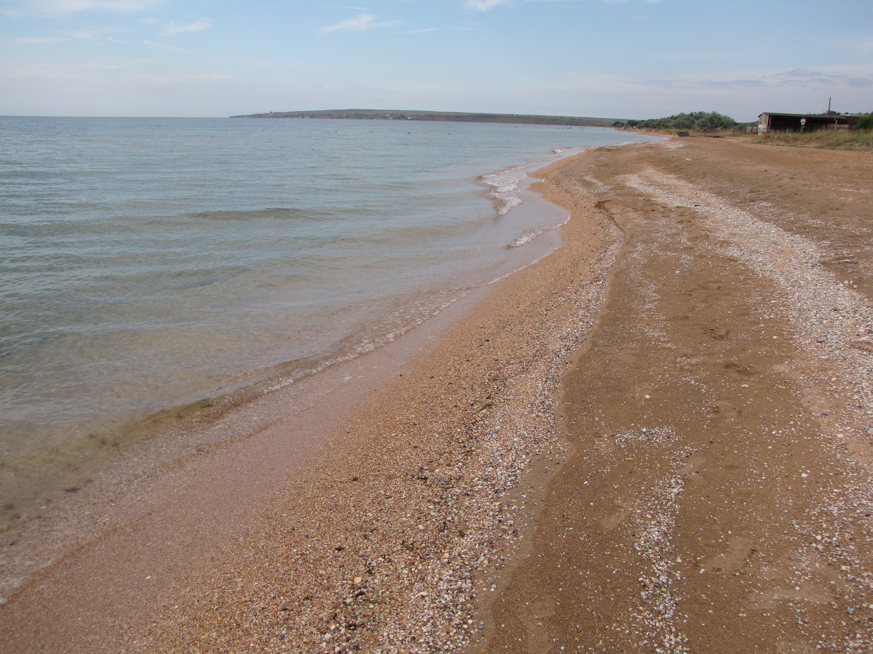 Фото Алмарис