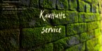 Клининг service (Smolina Street, 65), servicio de limpieza