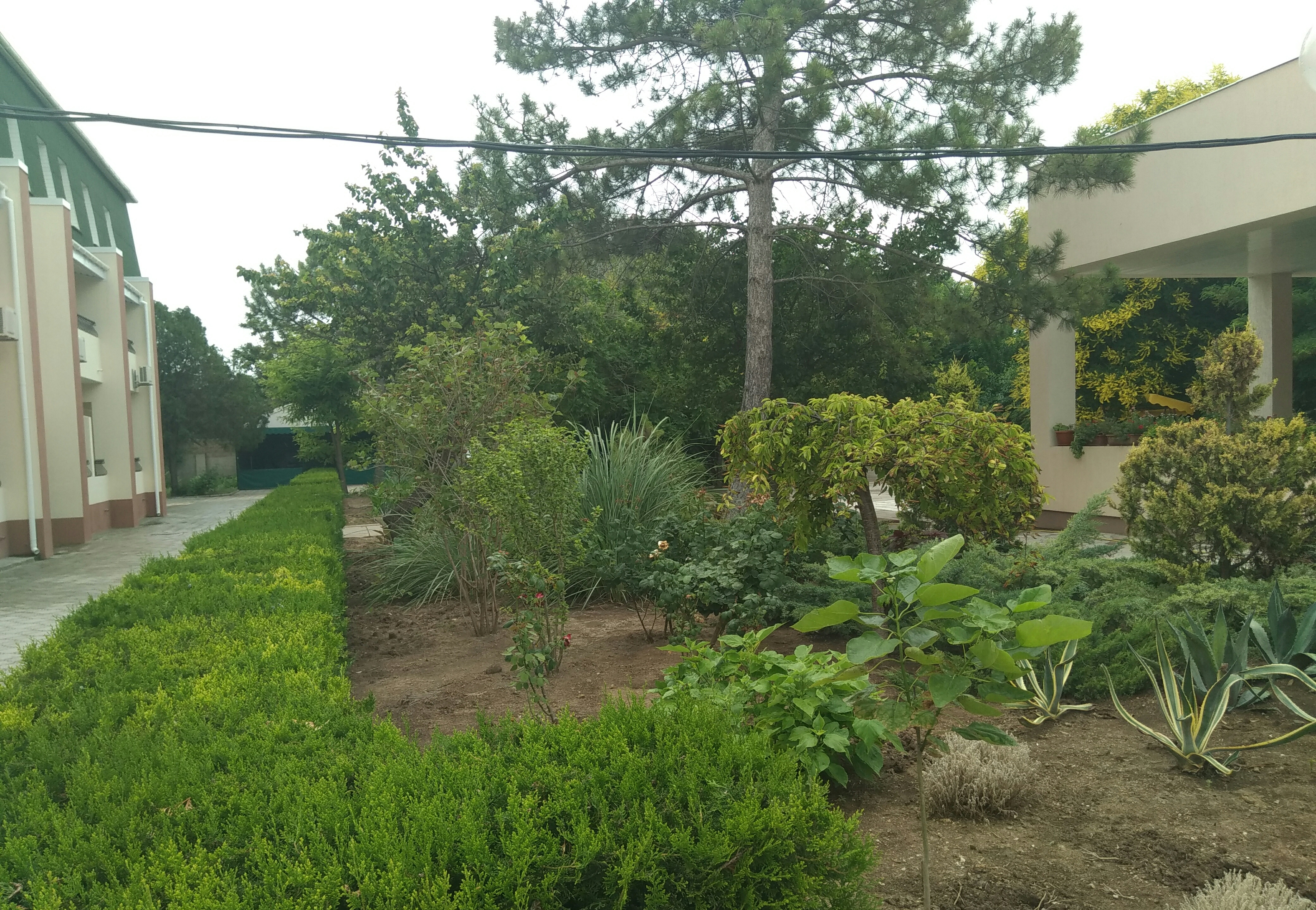 Фото Астра центр