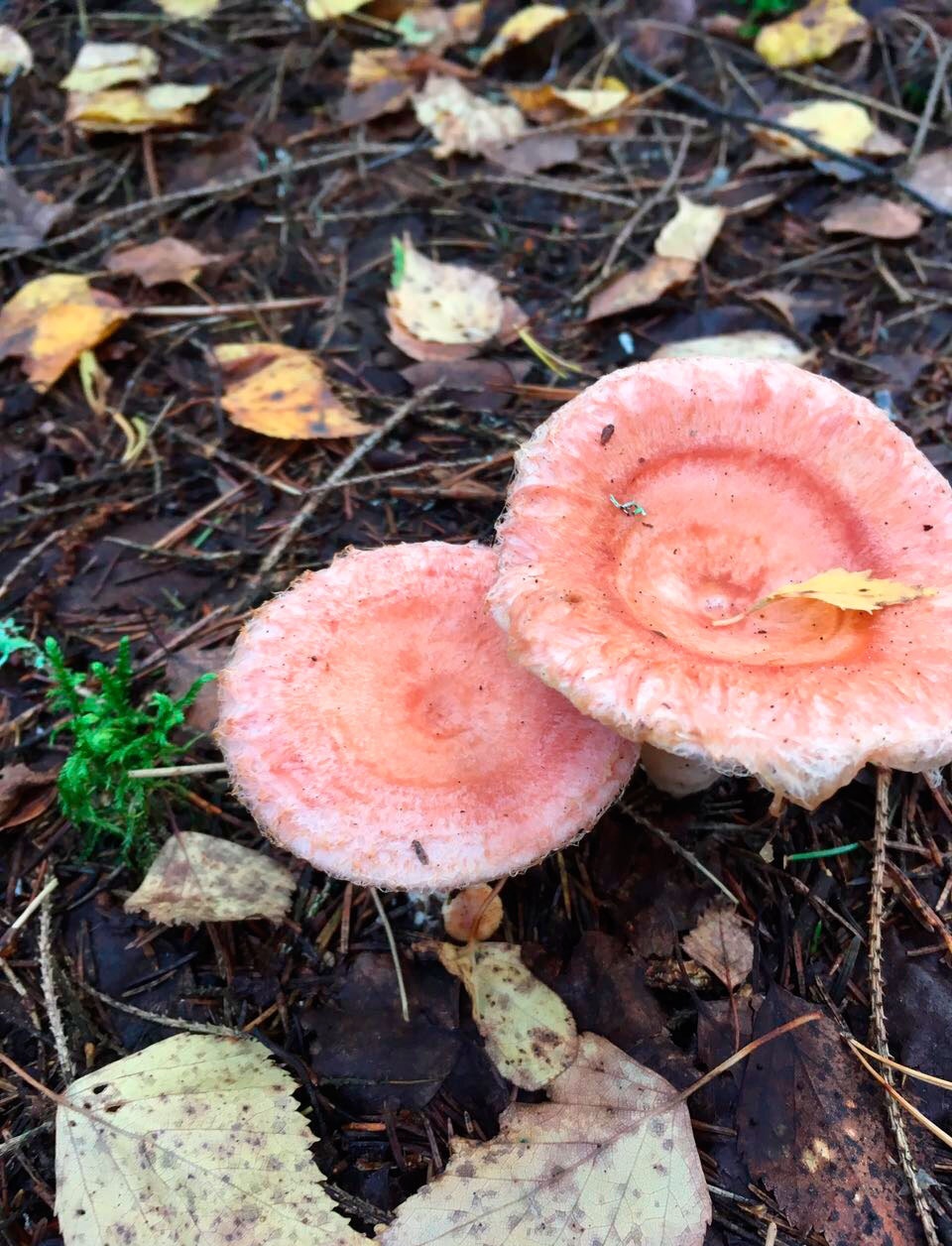 Фото Уютный причал