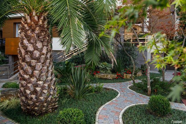 Фото Графит