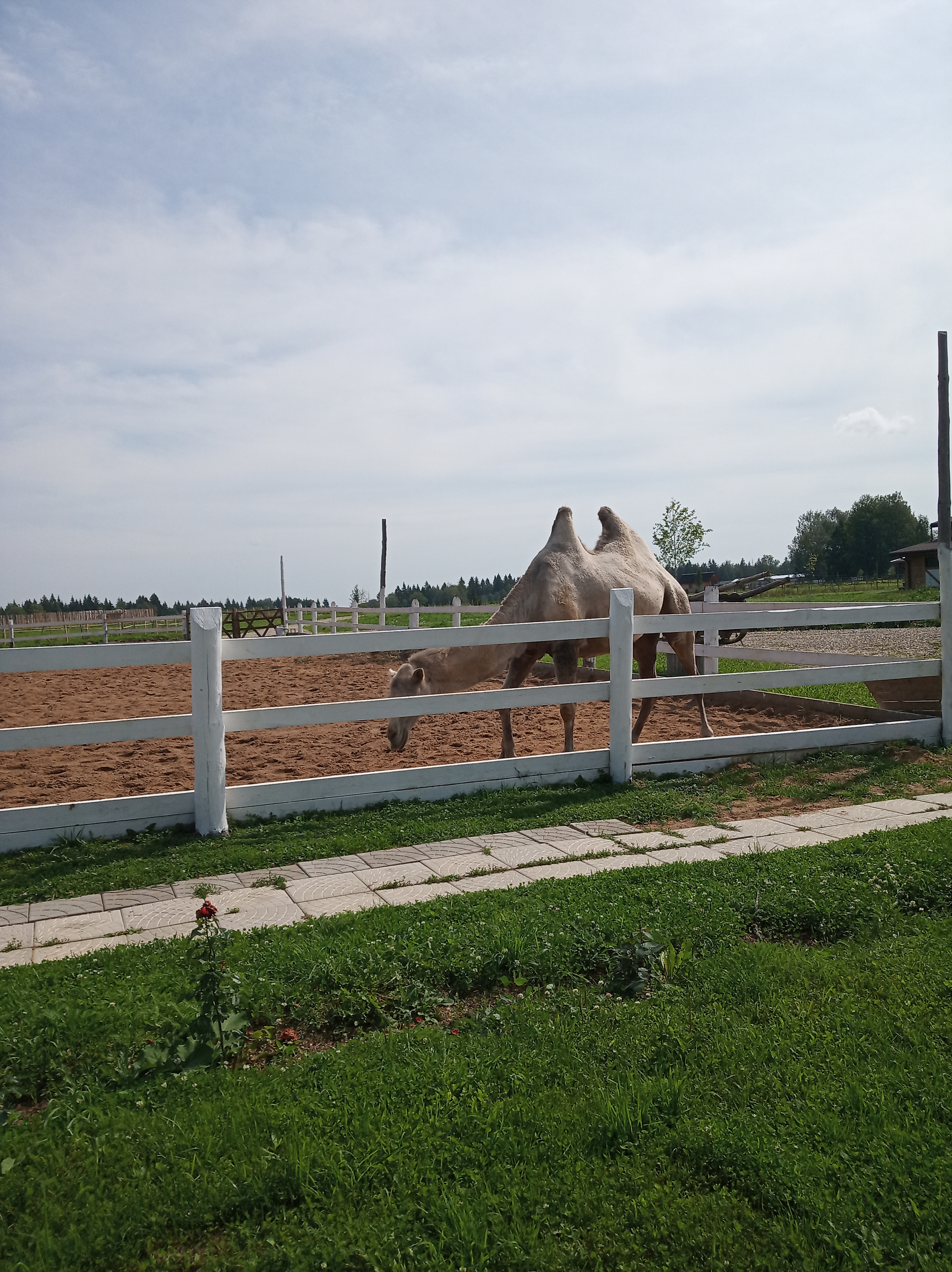 Фото Экоранчо