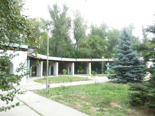 Снт подшипник среднеахтубинский район