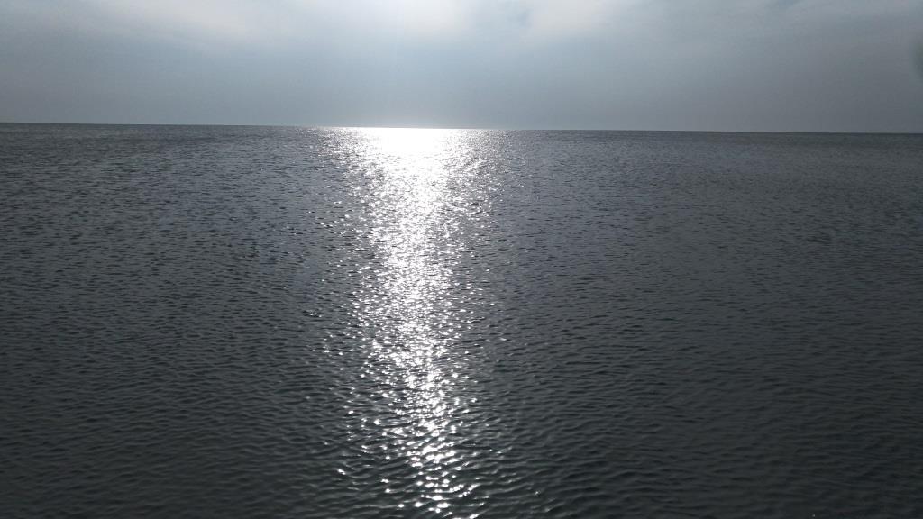 Фото Севилия Парк Отель