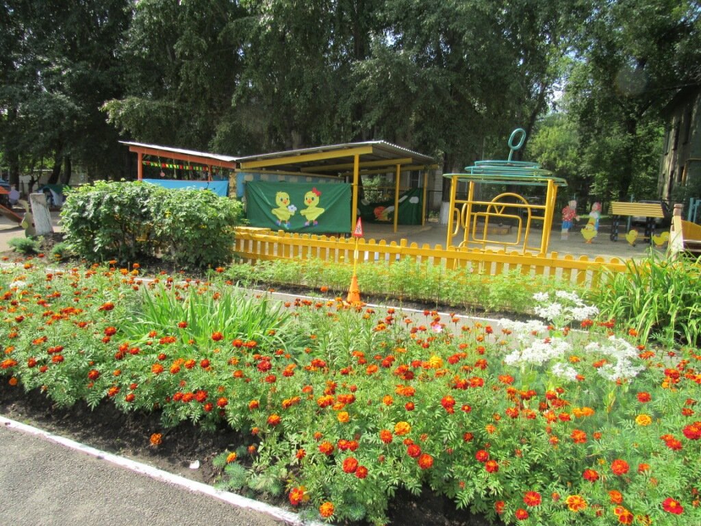 Отзыв о Ботанический сад ЧелГУ (Россия, Челябинск) Прекрасное и очень красивое м