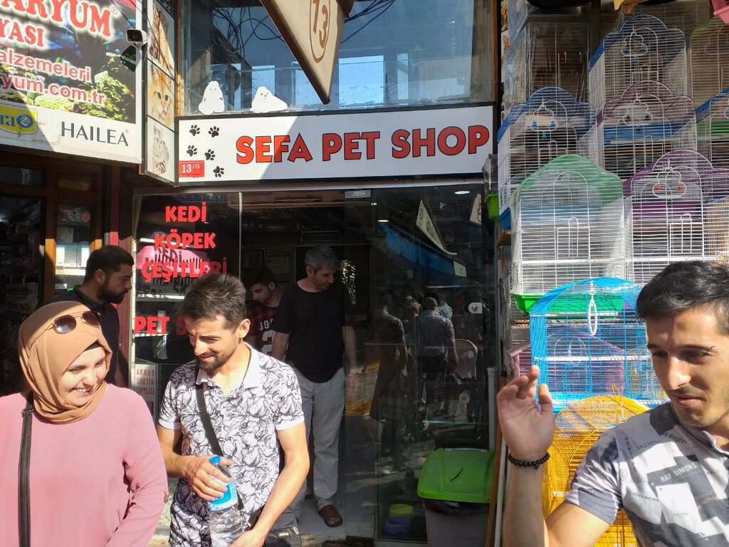 Petshop Sefa Pet Shop, Fatih, foto