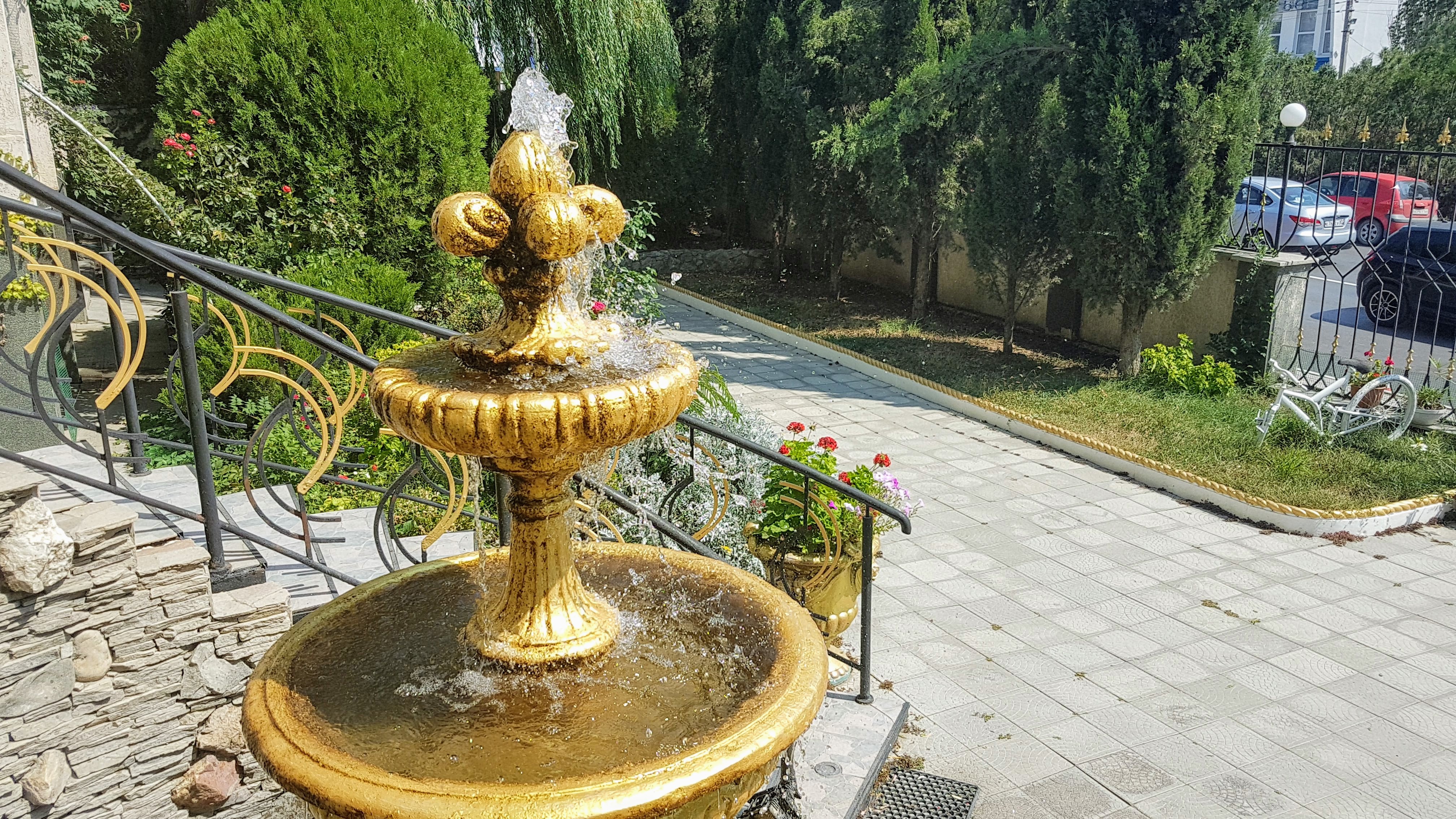 Фото Зеленый рай