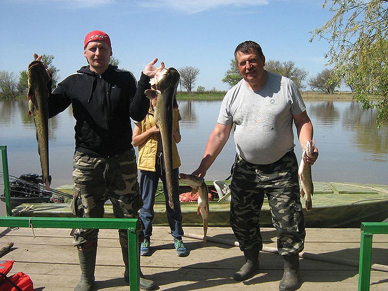 Фото Уваринка