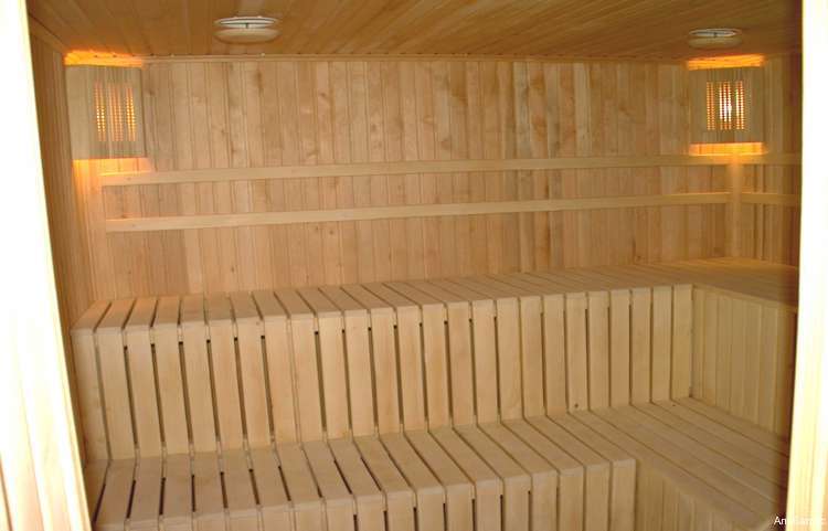 Фото Альбатрос