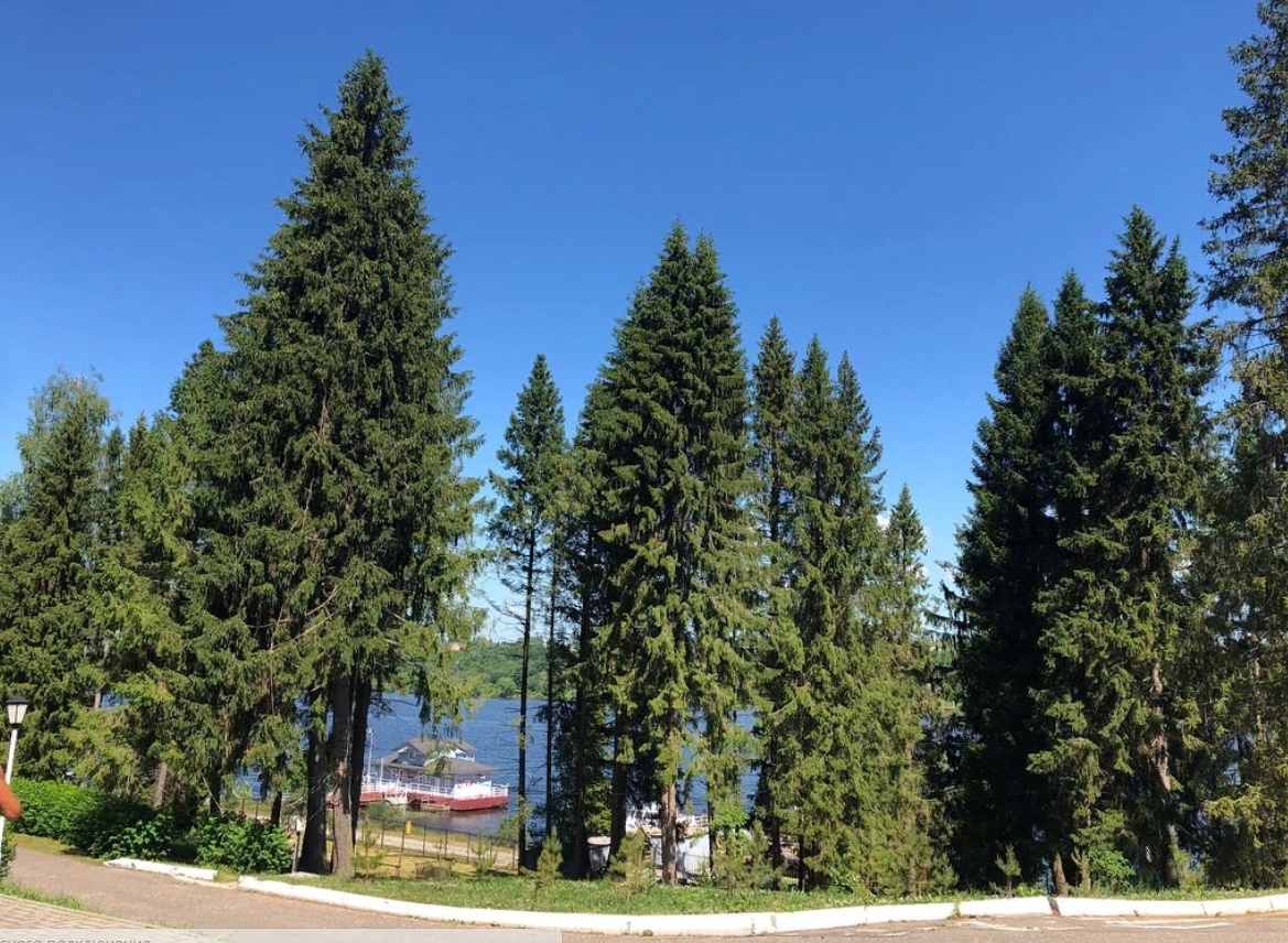 Фото Итиль Плёс