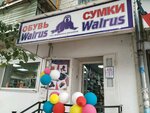 Walrus (Dzerzhinskogo Street, 15), zapatería