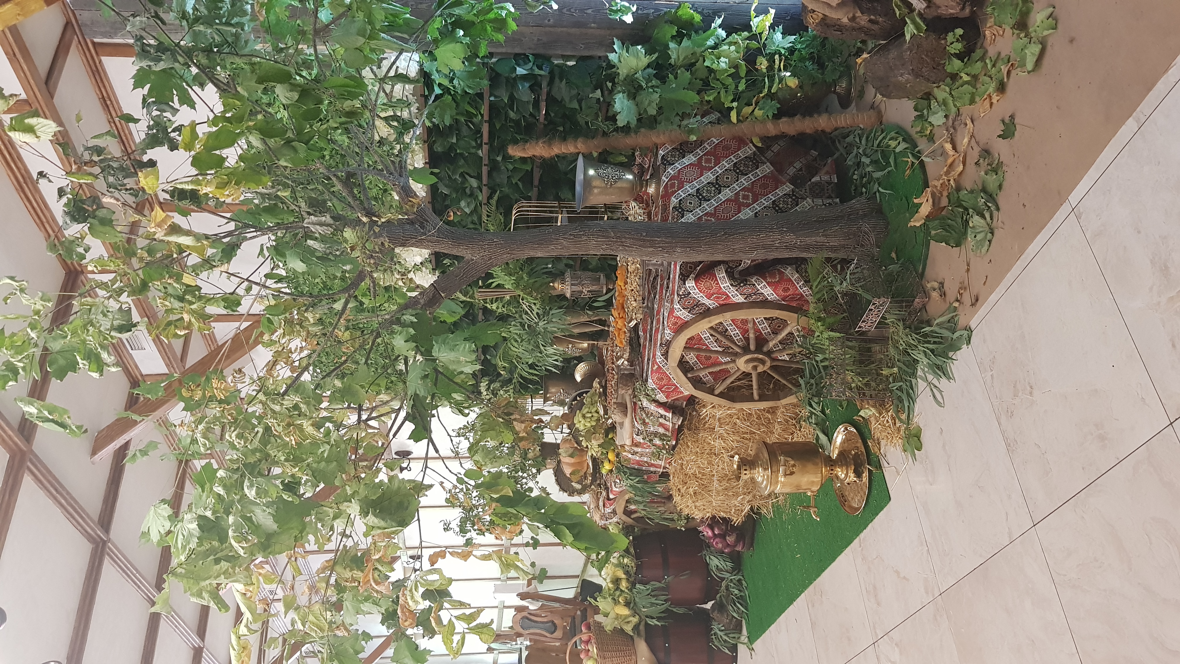 Фото Южный дворик