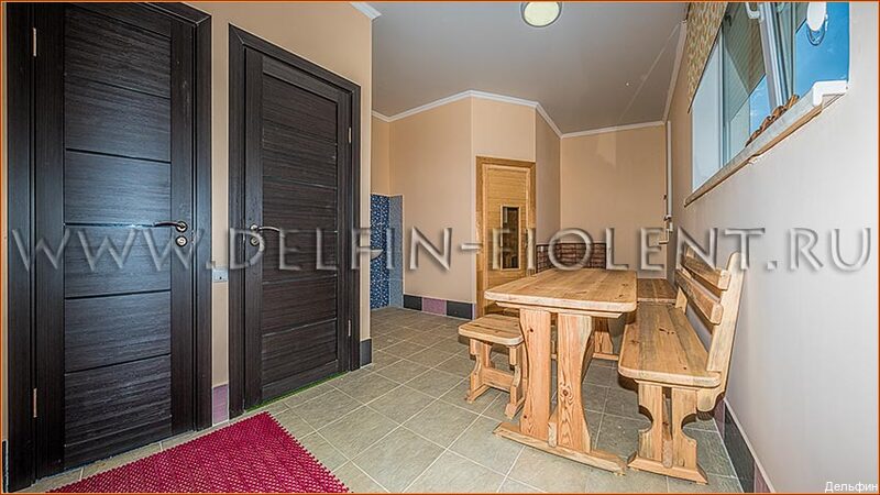 Фото Дельфин