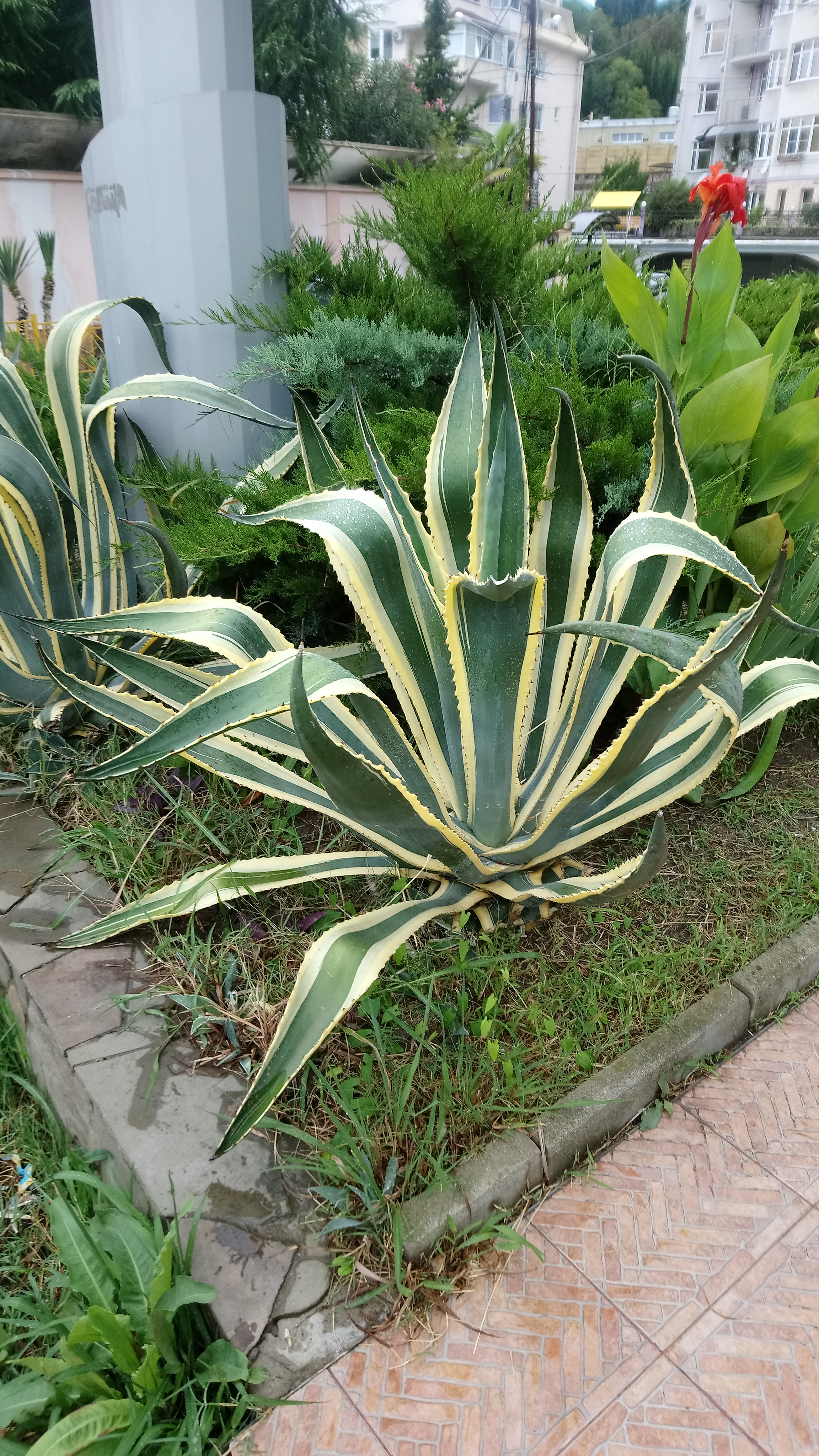 Фото Ла Манча