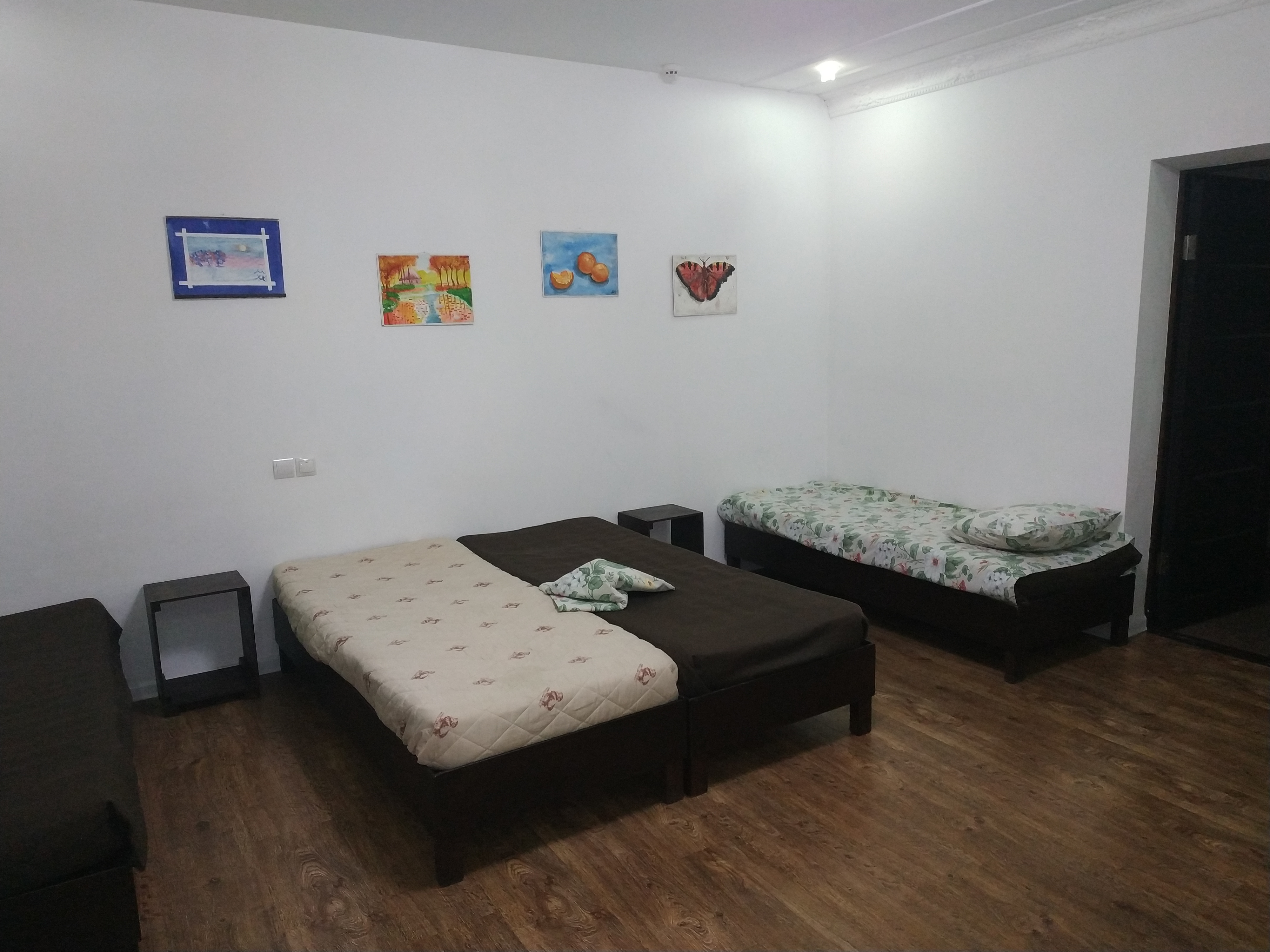 Фото Тополя