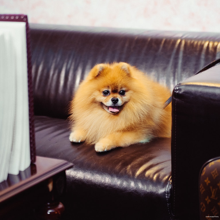 Фото АлександерПлатц