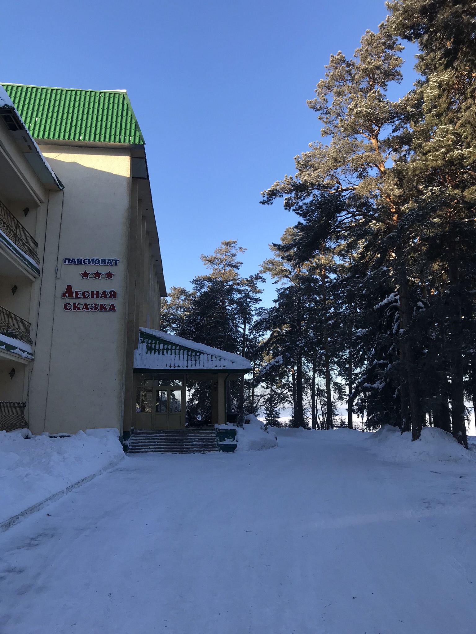 Фото Лесная сказка