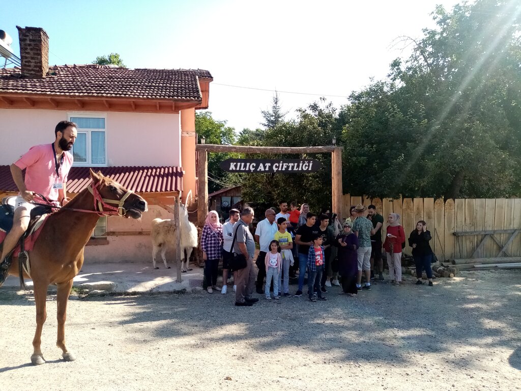 At ve binicilik kulüpleri Kılıç Atlı Turizm, Daday, foto