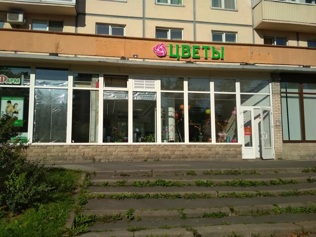 Пискаревский Проспект Магазины
