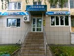 Liana (Kovalenko Street, 50), flower shop