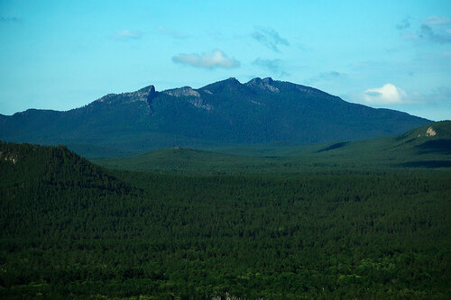 Үлкен көйлек қыздар мен үлкен есек қыздар