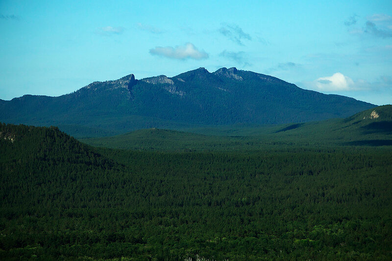 Интернетте қыздардың порно видеоларын қараңыз