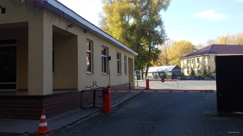 Фото Нежинка