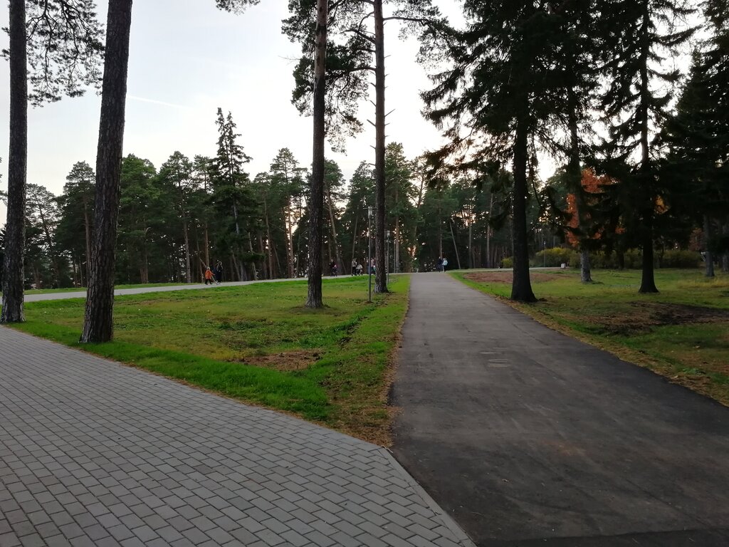 Ленинский парк в сарапуле